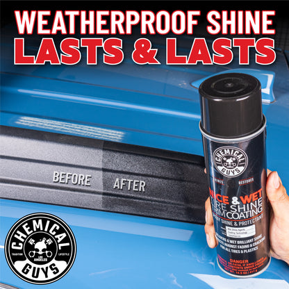 Nice and Wet Tire Shine Protective Coating