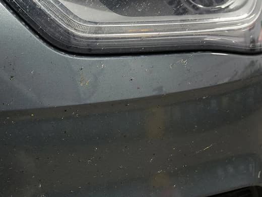 How to Remove Bugs and Tar from Your Vehicle