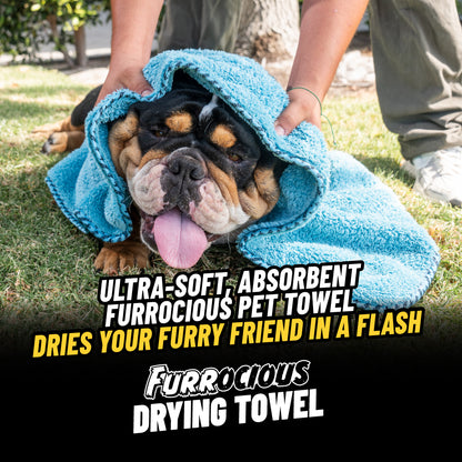 Interior Pet Mess Protection Kit